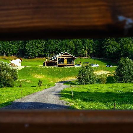Valley House Cabana Cu Priveliste De Vis Sita Buzaului Экстерьер фото