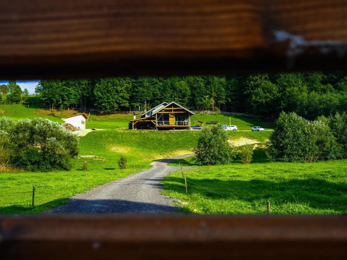 Valley House Cabana Cu Priveliste De Vis Sita Buzaului Экстерьер фото